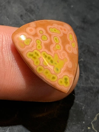 Jaspe Orbiculaire (Aussi appelé Jaspe Océan), cabochon de forme 'Trillion' - ± 21 x 5 mm - 2,8 gr. - Qualité AAA !