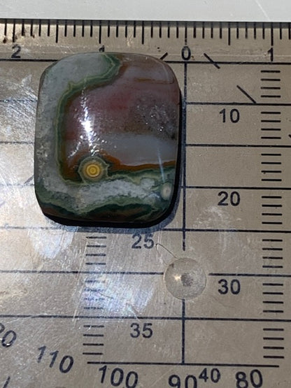 Jaspe Orbiculaire (Aussi appelé Jaspe Océan), cabochon de forme 'rectangle' - ± 20 x 16 x 6 mm - 3,2 gr. - Qualité AAA !