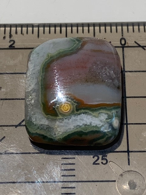 Jaspe Orbiculaire (Aussi appelé Jaspe Océan), cabochon de forme 'rectangle' - ± 20 x 16 x 6 mm - 3,2 gr. - Qualité AAA !