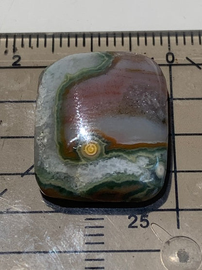 Jaspe Orbiculaire (Aussi appelé Jaspe Océan), cabochon de forme 'rectangle' - ± 20 x 16 x 6 mm - 3,2 gr. - Qualité AAA !