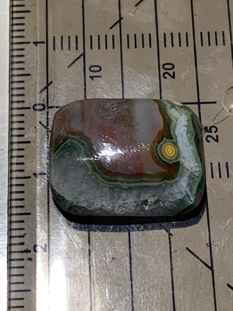 Jaspe Orbiculaire (Aussi appelé Jaspe Océan), cabochon de forme 'rectangle' - ± 20 x 16 x 6 mm - 3,2 gr. - Qualité AAA !