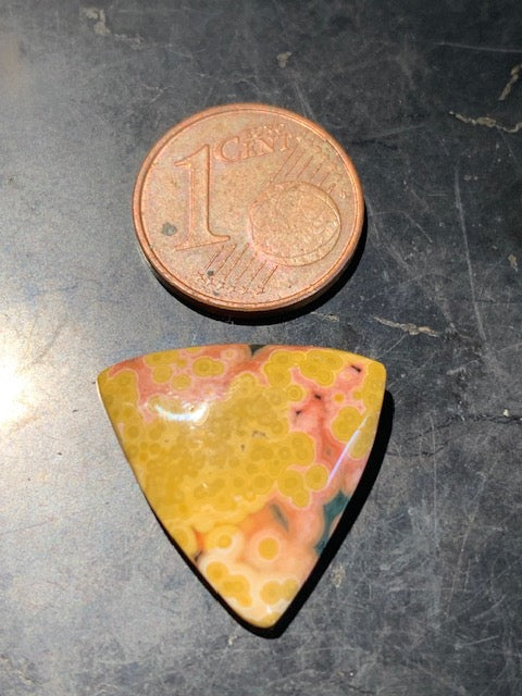 Jaspe Orbiculaire (Aussi appelé Jaspe Océan), cabochon de forme 'Trillion' - ± 17 x 5 mm - 2,1 gr. - Qualité AAA !