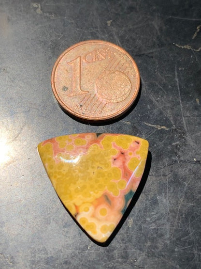 Jaspe Orbiculaire (Aussi appelé Jaspe Océan), cabochon de forme 'Trillion' - ± 17 x 5 mm - 2,1 gr. - Qualité AAA !