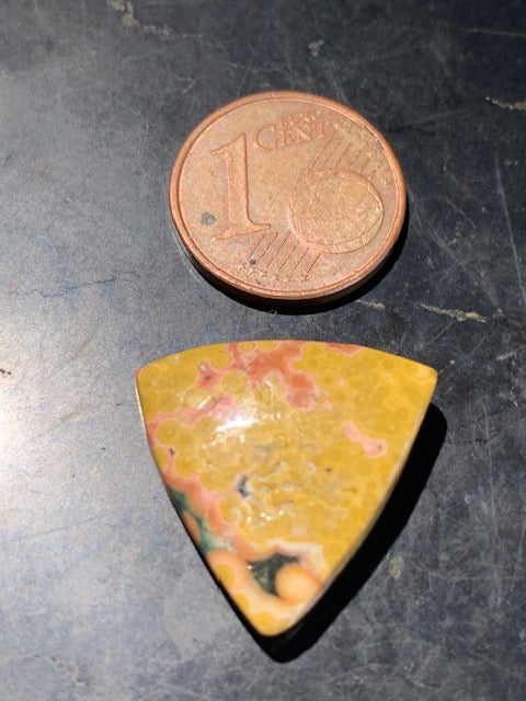 Jaspe Orbiculaire (Aussi appelé Jaspe Océan), cabochon de forme 'Trillion' - ± 17 x 5 mm - 2,1 gr. - Qualité AAA !