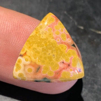 Jaspe Orbiculaire (Aussi appelé Jaspe Océan), cabochon de forme 'Trillion' - ± 17 x 5 mm - 2,1 gr. - Qualité AAA !