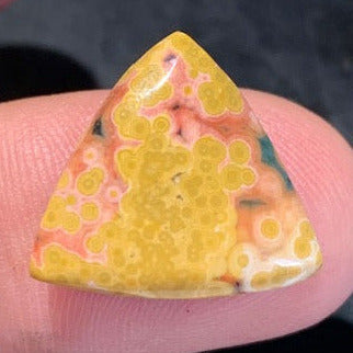 Jaspe Orbiculaire (Aussi appelé Jaspe Océan), cabochon de forme 'Trillion' - ± 17 x 5 mm - 2,1 gr. - Qualité AAA !