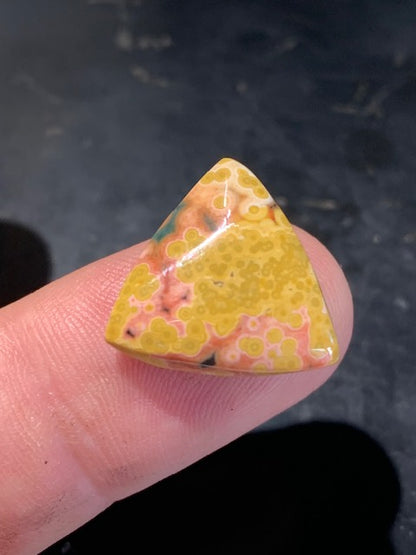 Jaspe Orbiculaire (Aussi appelé Jaspe Océan), cabochon de forme 'Trillion' - ± 17 x 5 mm - 2,1 gr. - Qualité AAA !