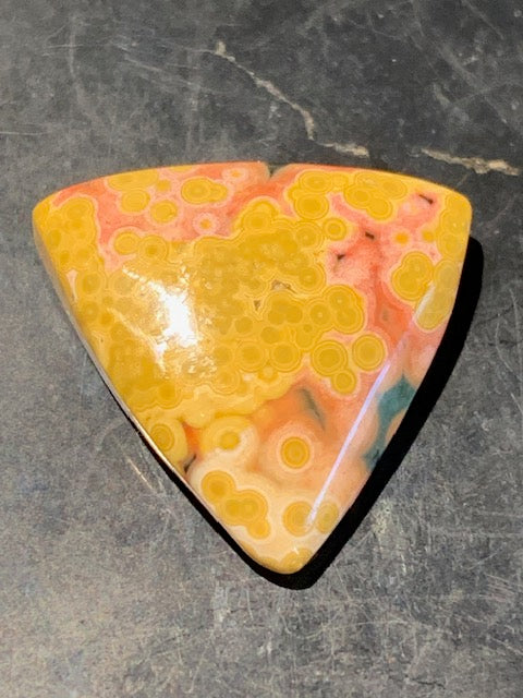 Jaspe Orbiculaire (Aussi appelé Jaspe Océan), cabochon de forme 'Trillion' - ± 17 x 5 mm - 2,1 gr. - Qualité AAA !