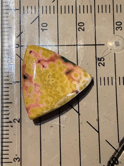 Jaspe Orbiculaire (Aussi appelé Jaspe Océan), cabochon de forme 'Trillion' - ± 17 x 5 mm - 2,1 gr. - Qualité AAA !