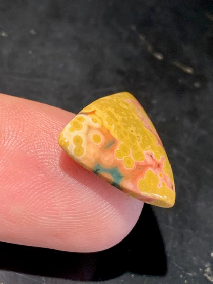 Jaspe Orbiculaire (Aussi appelé Jaspe Océan), cabochon de forme 'Trillion' - ± 17 x 5 mm - 2,1 gr. - Qualité AAA !