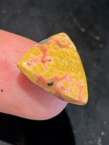 Jaspe Orbiculaire (Aussi appelé Jaspe Océan), cabochon de forme 'Trillion' - ± 17 x 5 mm - 2,1 gr. - Qualité AAA !