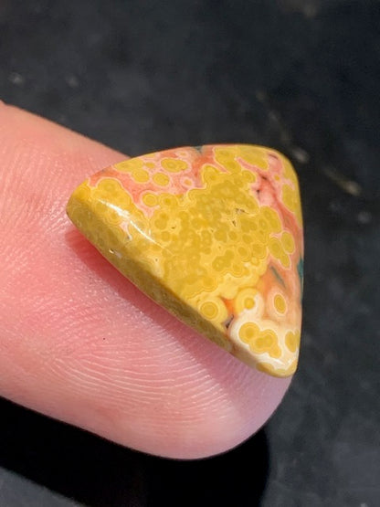 Jaspe Orbiculaire (Aussi appelé Jaspe Océan), cabochon de forme 'Trillion' - ± 17 x 5 mm - 2,1 gr. - Qualité AAA !