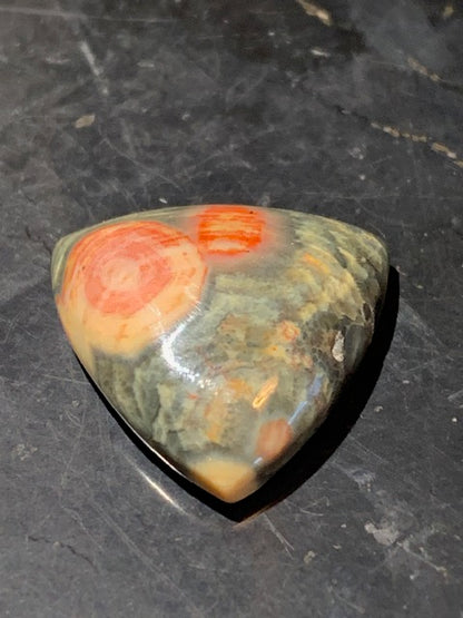 Jaspe Orbiculaire (Aussi appelé Jaspe Océan), cabochon de forme 'Trillion' - ± 20 x 5 mm - 2,6 gr. - Qualité AAA !