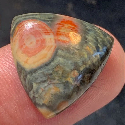 Jaspe Orbiculaire (Aussi appelé Jaspe Océan), cabochon de forme 'Trillion' - ± 20 x 5 mm - 2,6 gr. - Qualité AAA !