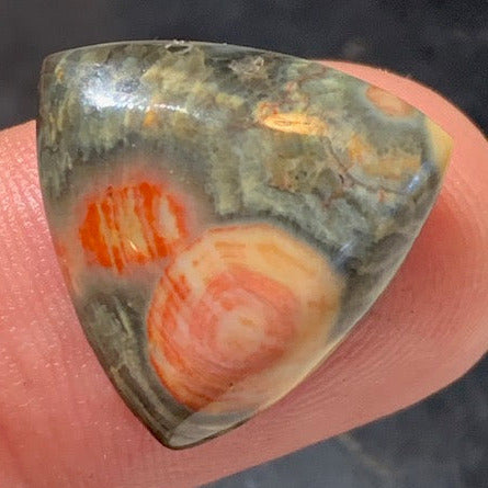 Jaspe Orbiculaire (Aussi appelé Jaspe Océan), cabochon de forme 'Trillion' - ± 20 x 5 mm - 2,6 gr. - Qualité AAA !