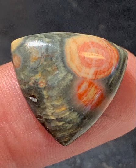 Jaspe Orbiculaire (Aussi appelé Jaspe Océan), cabochon de forme 'Trillion' - ± 20 x 5 mm - 2,6 gr. - Qualité AAA !