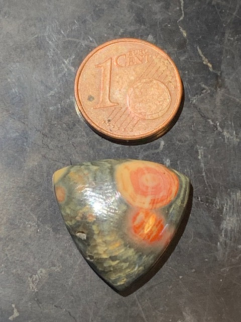 Jaspe Orbiculaire (Aussi appelé Jaspe Océan), cabochon de forme 'Trillion' - ± 20 x 5 mm - 2,6 gr. - Qualité AAA !