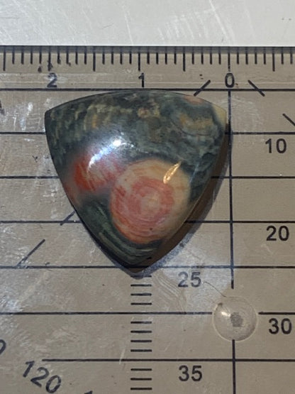 Jaspe Orbiculaire (Aussi appelé Jaspe Océan), cabochon de forme 'Trillion' - ± 20 x 5 mm - 2,6 gr. - Qualité AAA !