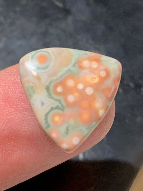 Jaspe Orbiculaire (Aussi appelé Jaspe Océan), cabochon de forme 'Trillion' - ± 18 x 4 mm - 1,5 gr. - Qualité AAA !
