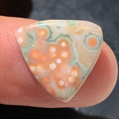 Jaspe Orbiculaire (Aussi appelé Jaspe Océan), cabochon de forme 'Trillion' - ± 18 x 4 mm - 1,5 gr. - Qualité AAA !