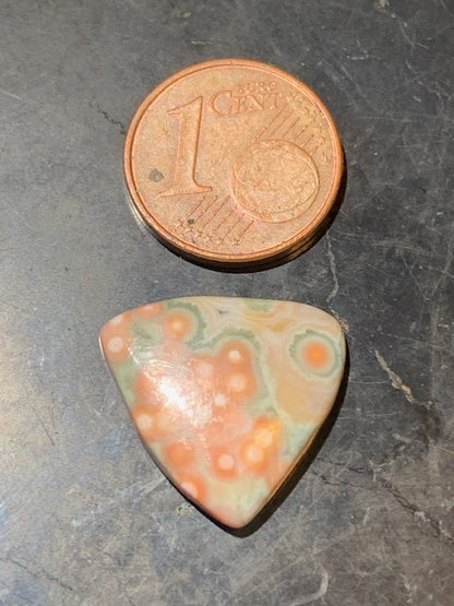 Jaspe Orbiculaire (Aussi appelé Jaspe Océan), cabochon de forme 'Trillion' - ± 18 x 4 mm - 1,5 gr. - Qualité AAA !