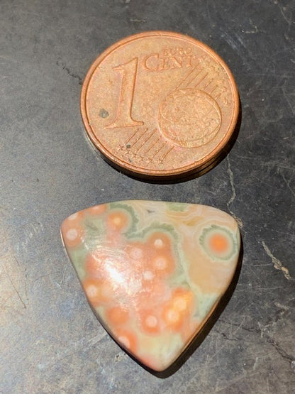 Jaspe Orbiculaire (Aussi appelé Jaspe Océan), cabochon de forme 'Trillion' - ± 18 x 4 mm - 1,5 gr. - Qualité AAA !