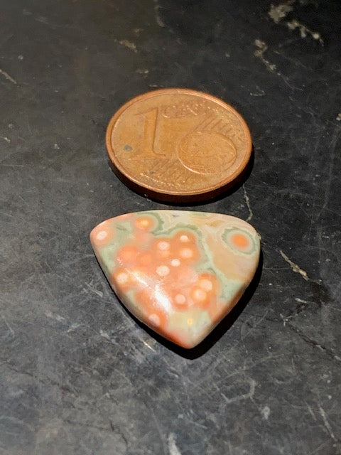 Jaspe Orbiculaire (Aussi appelé Jaspe Océan), cabochon de forme 'Trillion' - ± 18 x 4 mm - 1,5 gr. - Qualité AAA !