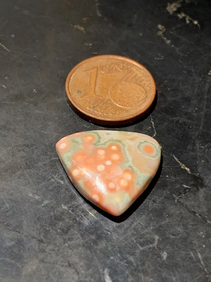 Jaspe Orbiculaire (Aussi appelé Jaspe Océan), cabochon de forme 'Trillion' - ± 18 x 4 mm - 1,5 gr. - Qualité AAA !