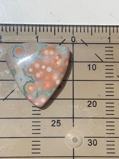 Jaspe Orbiculaire (Aussi appelé Jaspe Océan), cabochon de forme 'Trillion' - ± 18 x 4 mm - 1,5 gr. - Qualité AAA !