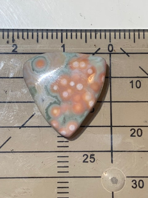 Jaspe Orbiculaire (Aussi appelé Jaspe Océan), cabochon de forme 'Trillion' - ± 18 x 4 mm - 1,5 gr. - Qualité AAA !