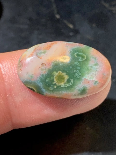 Jaspe Orbiculaire (Aussi appelé Jaspe Océan), cabochon de forme 'Ovale' - ± 23 x 15 x 5 mm - 2,2 gr. - Qualité AAA !