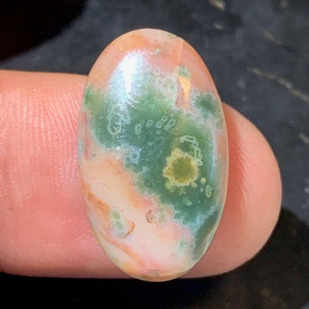 Jaspe Orbiculaire (Aussi appelé Jaspe Océan), cabochon de forme 'Ovale' - ± 23 x 15 x 5 mm - 2,2 gr. - Qualité AAA !