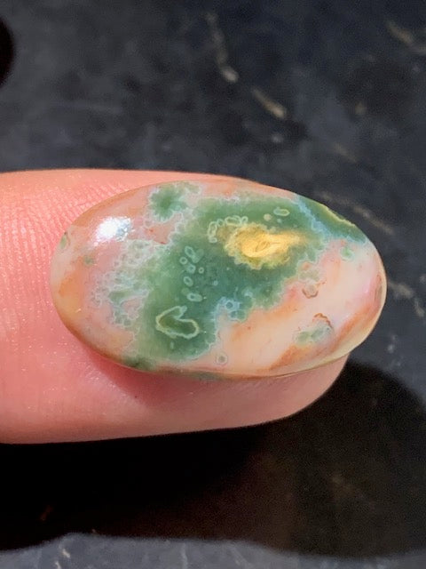 Jaspe Orbiculaire (Aussi appelé Jaspe Océan), cabochon de forme 'Ovale' - ± 23 x 15 x 5 mm - 2,2 gr. - Qualité AAA !