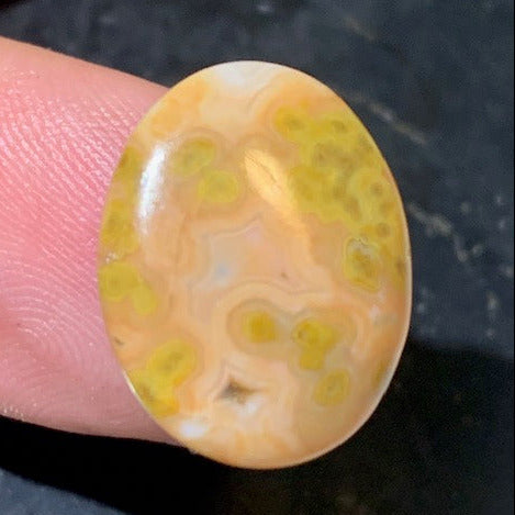 Jaspe Orbiculaire (Aussi appelé Jaspe Océan), cabochon de forme 'Ovale' - ± 18 x 15 x 5 mm - 1,8 gr. - Qualité AAA !