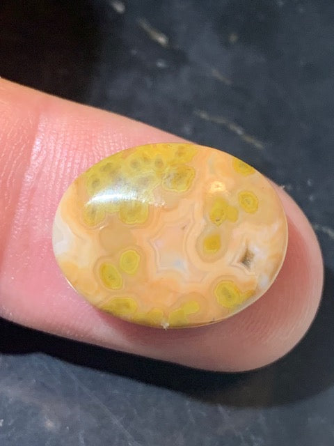 Jaspe Orbiculaire (Aussi appelé Jaspe Océan), cabochon de forme 'Ovale' - ± 18 x 15 x 5 mm - 1,8 gr. - Qualité AAA !