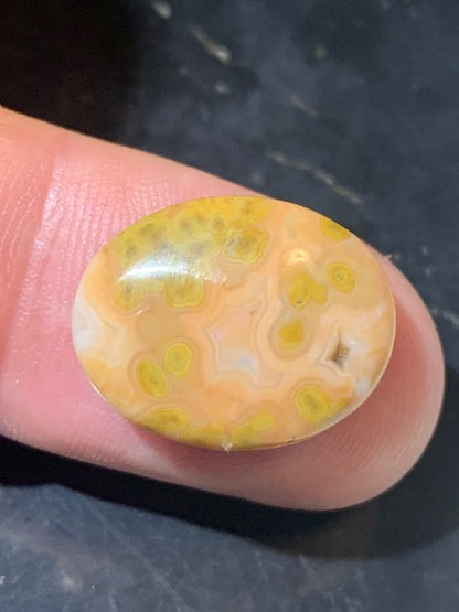 Jaspe Orbiculaire (Aussi appelé Jaspe Océan), cabochon de forme 'Ovale' - ± 18 x 15 x 5 mm - 1,8 gr. - Qualité AAA !