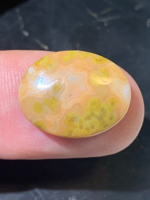 Jaspe Orbiculaire (Aussi appelé Jaspe Océan), cabochon de forme 'Ovale' - ± 18 x 15 x 5 mm - 1,8 gr. - Qualité AAA !