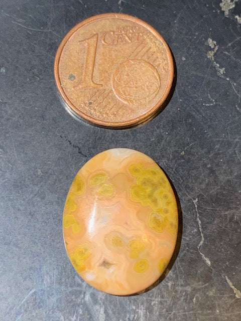 Jaspe Orbiculaire (Aussi appelé Jaspe Océan), cabochon de forme 'Ovale' - ± 18 x 15 x 5 mm - 1,8 gr. - Qualité AAA !