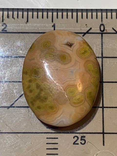 Jaspe Orbiculaire (Aussi appelé Jaspe Océan), cabochon de forme 'Ovale' - ± 18 x 15 x 5 mm - 1,8 gr. - Qualité AAA !