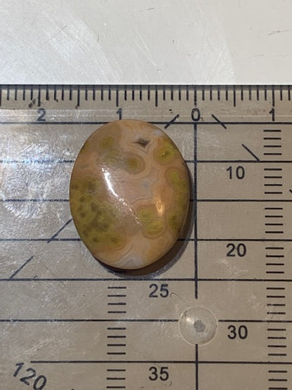 Jaspe Orbiculaire (Aussi appelé Jaspe Océan), cabochon de forme 'Ovale' - ± 18 x 15 x 5 mm - 1,8 gr. - Qualité AAA !