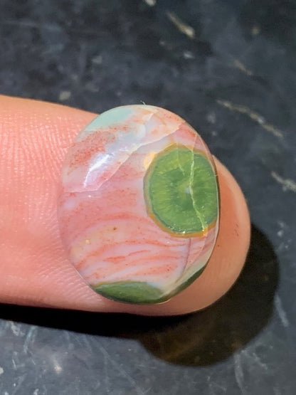 Jaspe Orbiculaire (Aussi appelé Jaspe Océan), cabochon de forme 'Ovale' - ± 17 x 15 x 5 mm - 2 gr. - Qualité AAA !