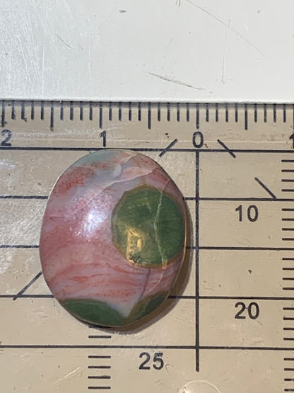 Jaspe Orbiculaire (Aussi appelé Jaspe Océan), cabochon de forme 'Ovale' - ± 17 x 15 x 5 mm - 2 gr. - Qualité AAA !