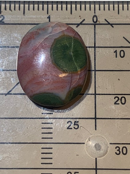 Jaspe Orbiculaire (Aussi appelé Jaspe Océan), cabochon de forme 'Ovale' - ± 17 x 15 x 5 mm - 2 gr. - Qualité AAA !