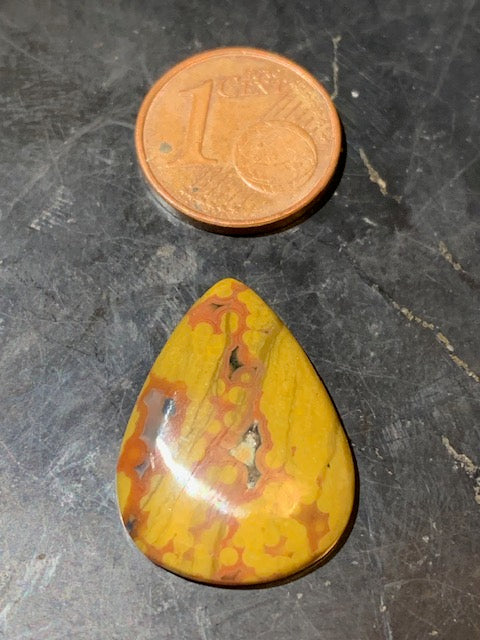 Jaspe Orbiculaire (Aussi appelé Jaspe Océan), cabochon de forme de 'goutte' - ± 23 x 17 x 5 mm - 2 gr. - Qualité AAA !