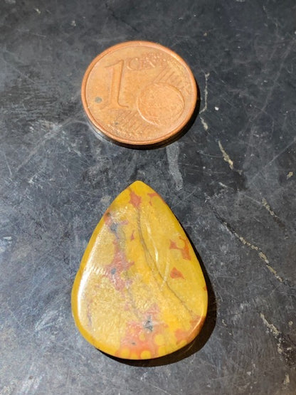 Jaspe Orbiculaire (Aussi appelé Jaspe Océan), cabochon de forme de 'goutte' - ± 23 x 17 x 5 mm - 2 gr. - Qualité AAA !