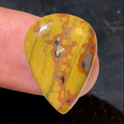 Jaspe Orbiculaire (Aussi appelé Jaspe Océan), cabochon de forme de 'goutte' - ± 23 x 17 x 5 mm - 2 gr. - Qualité AAA !