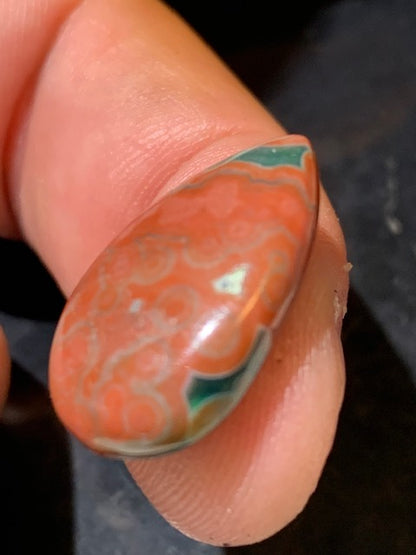 Jaspe Orbiculaire (Aussi appelé Jaspe Océan), cabochon de forme de 'goutte' - ± 22 x 15 x 5 mm - 2,4 gr. - Qualité AAA !