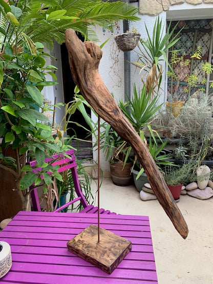 Sculpture en bois flotté de Loire - Bec d'oiseau - 65 cm de hauteur × 38 × 20 / ± 1,2 kg - Création Zen Curiosity