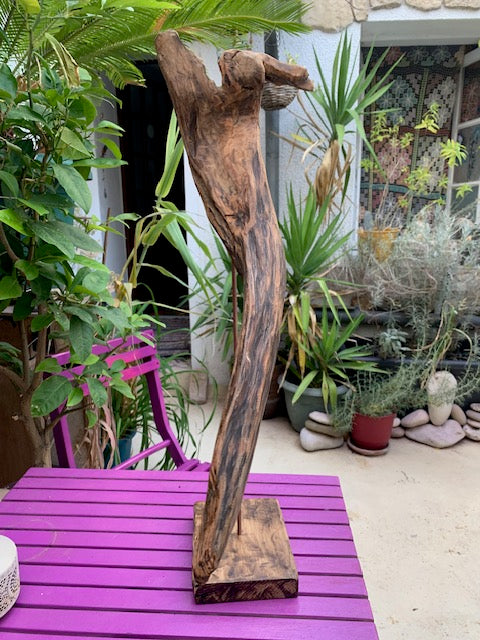 Sculpture en bois flotté de Loire - Bec d'oiseau - 65 cm de hauteur × 38 × 20 / ± 1,2 kg - Création Zen Curiosity