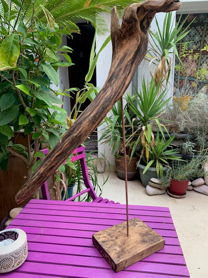 Sculpture en bois flotté de Loire - Bec d'oiseau - 65 cm de hauteur × 38 × 20 / ± 1,2 kg - Création Zen Curiosity